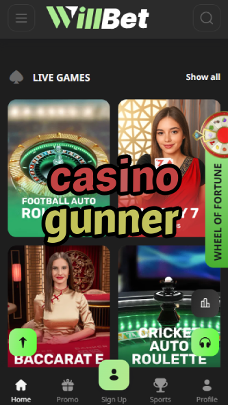 Casino Gunner - Action-Packed Casino-www.bdqngd.com